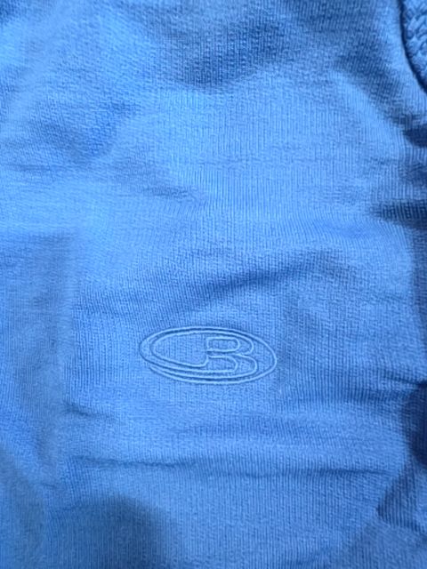BLUE ICEBREAKER HOODIE MENS