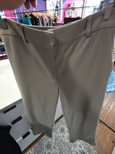 JUDITH & CHARLES WOOL BLEND SLACKS, GREY