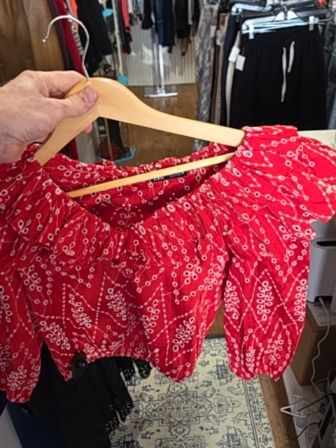 RED ZARA RUFFLED EYELET CROP TOP